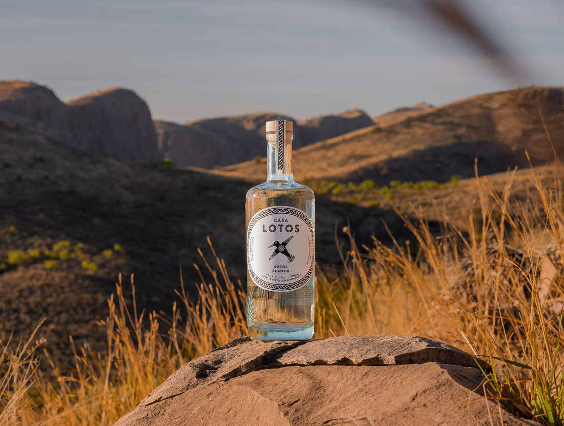 Casa Lotos Sotol: A Gentle Tequila-like Spirit