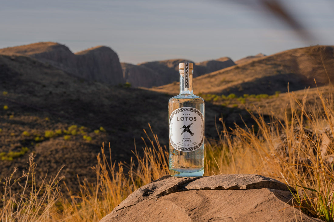 Casa Lotos Brings Mexican-Made Sotol Blanco to US Market