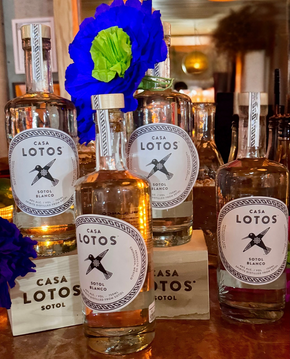 Discover Sotol & Meet Casa Lotos, Your New Favorite Mexican Spirit